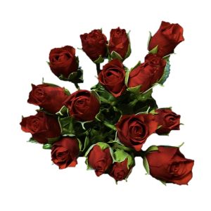 Fire King Red Spray Roses