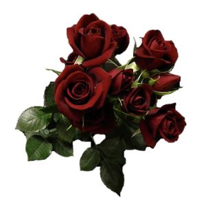 Rubicon Red Spray Roses