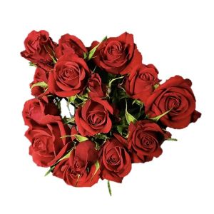 Scarlett Mimi Red Spray Roses