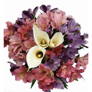 Alstroemeria and Calla Lily Bouquet (6 Bouquets/Box)