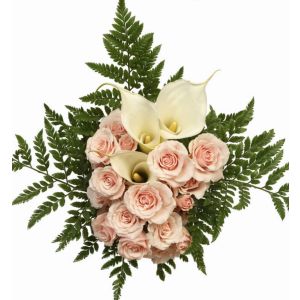 Calla Lily, Pink Spray Rose, Fern (6 Bouquets/Box)