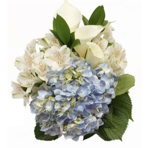 Alstroemeria, Calla Lily, Hydrangea, Ruscus (6 Bouquets/Box)