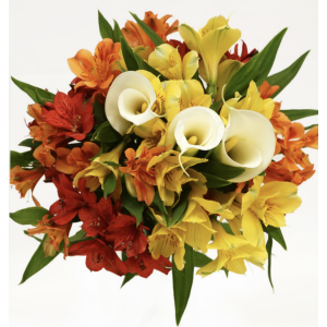 Alstroemeria, Calla Lily, and Cocculus Bouquet (6 Bouquets/Box)