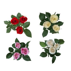 MDAY 2024 Assorted Roses Box #1: Pink, White, Red, Cream  